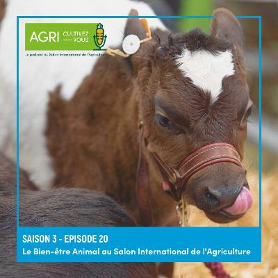Le Bien-être Animal au Salon International de l'Agriculture