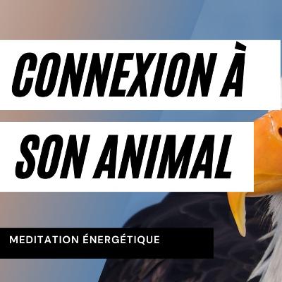 Soin énergétique et méditation pour se connecter à son animal Totem, son animal pouvoir.