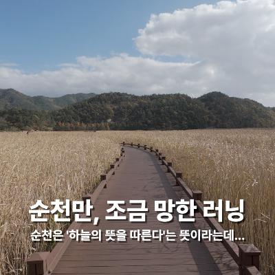 [다른 길의 분노] 순천만, 조금 망한 러닝: 순천은 ‘하늘의 뜻을 따른다’는 뜻이라는데…