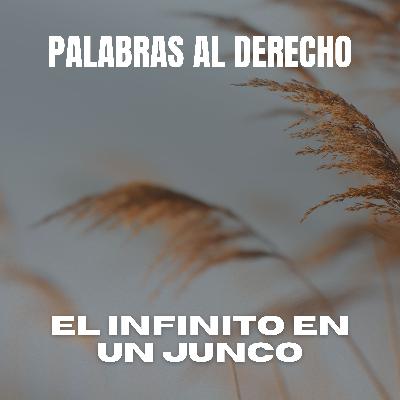 El Infinito en un Junco de Irene Vallejo