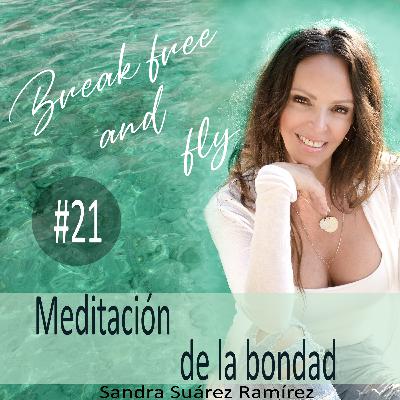 #21 Meditación de la bondad