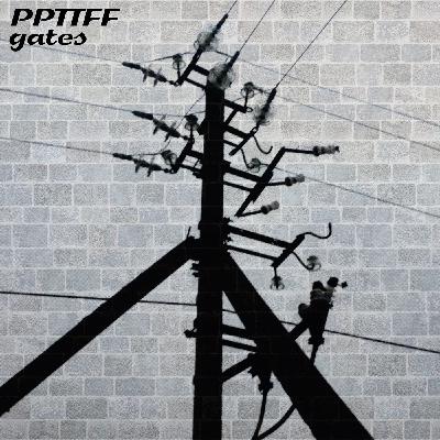 1 PPTTFF - Gates