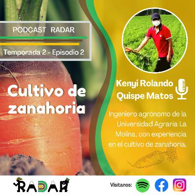 Episodio 2: Cultivo de zanahoria