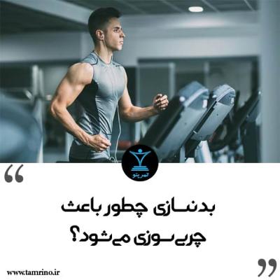 بدنسازی چطور باعث چربی سوزی می شود؟ (هوش مصنوعی)