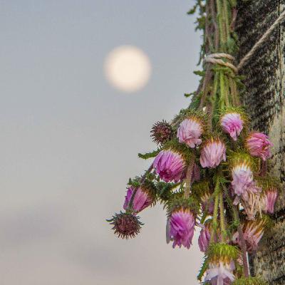 Día 9 "Estoy dispuesta a cambiar y crecer" Día 9 "Estoy dispuesta a cambiar y crecer"