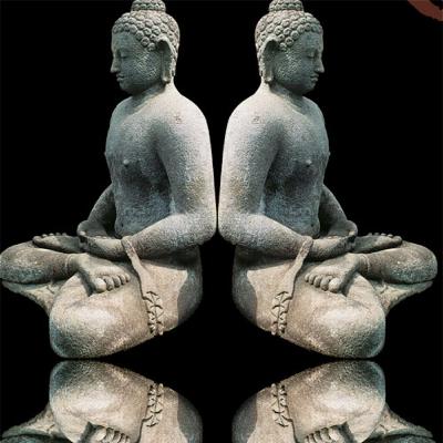 L’esperienza della conoscenza "Dall’albero di Buddha al silenzio dello Zen" L’esperienza della conoscenza "Dall’albero di Buddha al silenzio dello Zen"