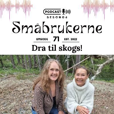 Dra til skogs!