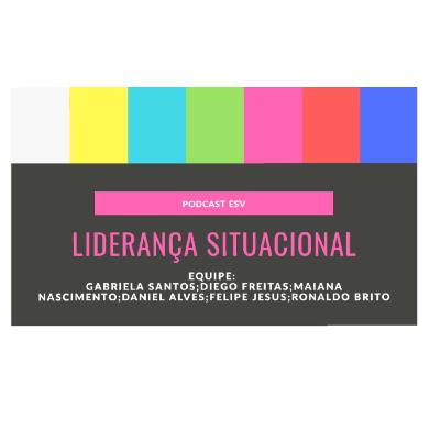 Liderança Situacional.