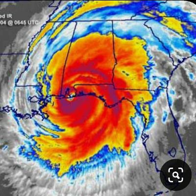 Hurricane Laura Police Brutality