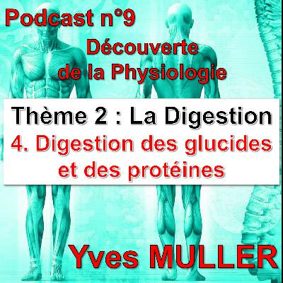 9. Digestion des glucides et des protéines