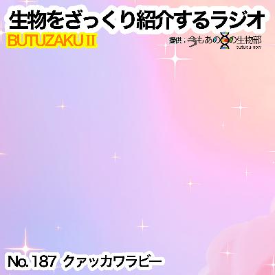 第87話：✉️「クアッカワラビー」をざっくり紹介