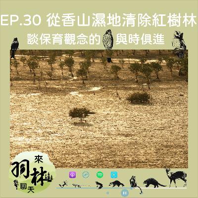 來羽林聊天 EP.30 香山濕地臺灣旱招潮蟹的艱辛回家路/保護區好多種，規定各不相同，但應該都不能在裡頭燒鋼琴