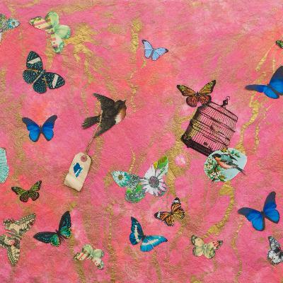 Episode 17: Dropping the Shoulds, Oughts, & Musts