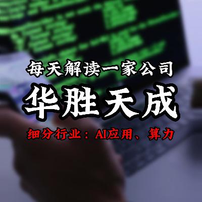 每天解读一家上市公司：华胜天成