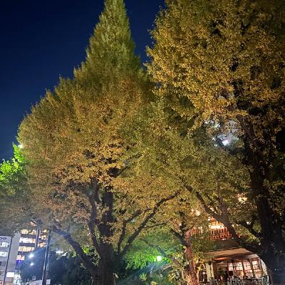 夜のナイトドライブは最高のボディワーク。周辺視野👁️で。