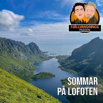 41. Sommarguide till Lofoten