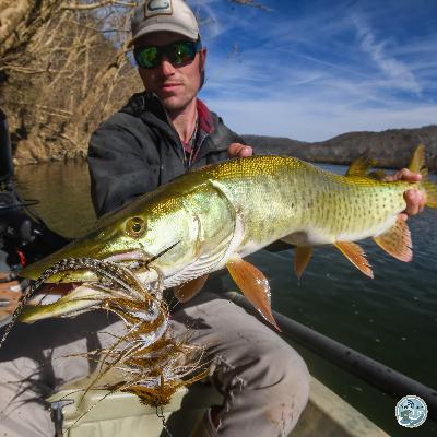 S7, Ep 90: Transitioning Tactics: Matt Reilly on Targeting Smallmouth and Musky This Fall S7, Ep 90: Transitioning Tactics: Matt Reilly on Targeting Smallmouth and Musky This Fall