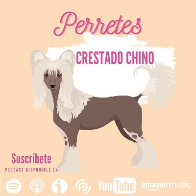 Ep100: Crestado chino