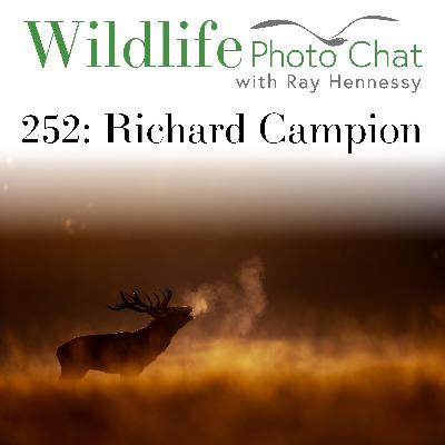 252: Richard Campion 252: Richard Campion