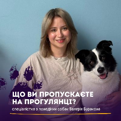 Прогулянка очима собаки: чому це більше, ніж “туалет”