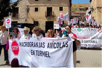 Pedro García, oposición granjas Avícolas de Avigen