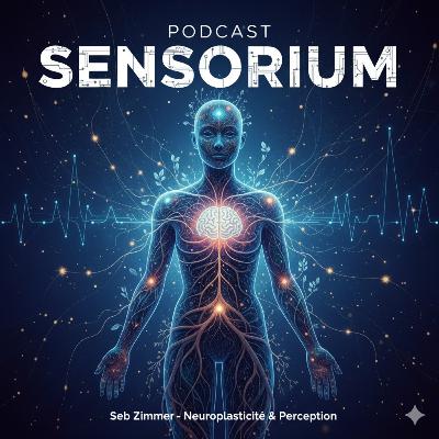 Le VRAI Secret d'un Sommeil Réparateur (Ce n'est PAS ce que vous croyez !)
