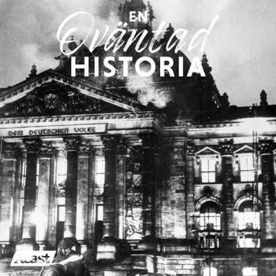 Riksdagsbranden 1933 som gav nazisterna hela makten