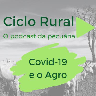 #03 - Covid-19 e o agro