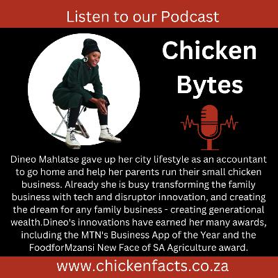 The BOM.COM The BOM.COM