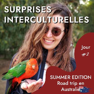 [SUMMER EDITION] Jour 2 - Road trip solo en autostop en Australie