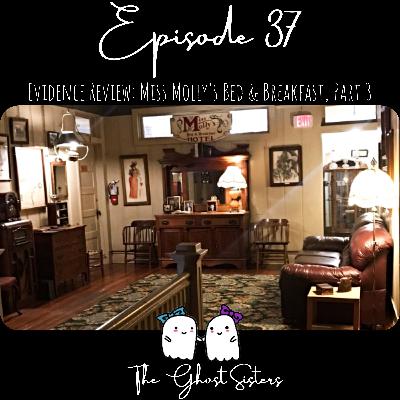Episode 37 - Evidence Review: Miss Molly's Bed & Breakfast, Part 3 Episode 37 - Evidence Review: Miss Molly's Bed & Breakfast, Part 3