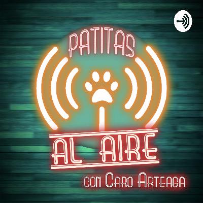 Ep. 21 - Senderismo con tu Perro Ep. 21 - Senderismo con tu Perro