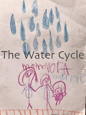 The Water Cycle