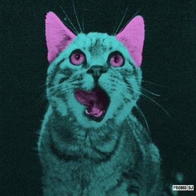 Granoffsky - Black Box #010