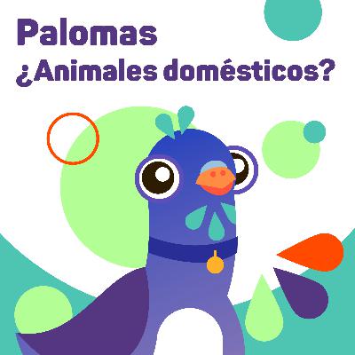 Palomas ¿Animales domésticos?