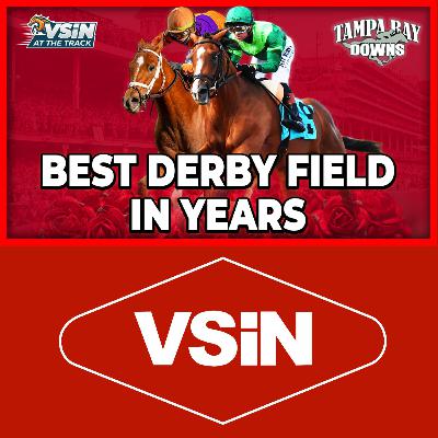 Tampa Bay Derby 2026: Smart Picks in a Loaded Field