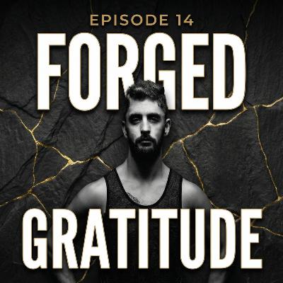 Ep. 14: The Weaponization of Gratitude (Forged Gratitude vs. Civilian Sentiment) Ep. 14: The Weaponization of Gratitude (Forged Gratitude vs. Civilian Sentiment)