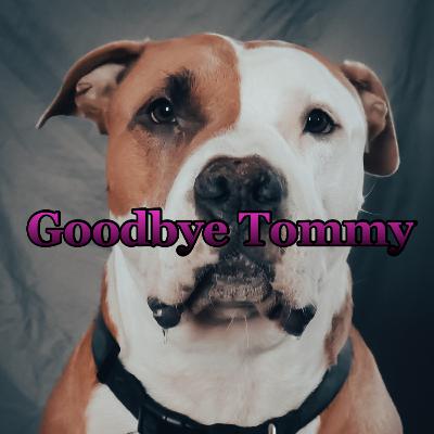 S4: Goodbye Tommy - Ep.2