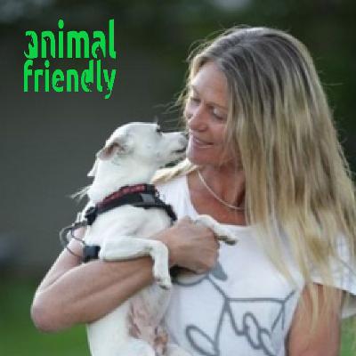 28. A Deeper Understanding of Dogs 28. A Deeper Understanding of Dogs