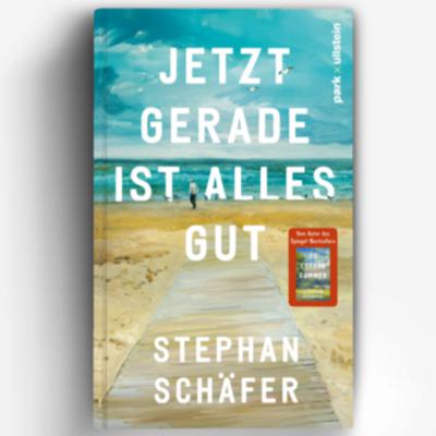 146. Stephan Schäfer - Jetzt gerade ist alles gut - Interview 146. Stephan Schäfer - Jetzt gerade ist alles gut - Interview