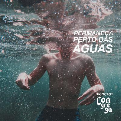 PERMANEÇA PERTO DAS ÁGUAS - Bebeto Araujo #especialquarentena