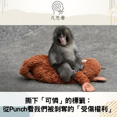 撕下「好可憐」的標籤：從Punch看我們被剝奪的「受傷權利」