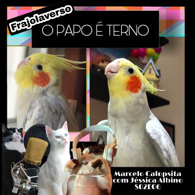 Marcelo Calopsita | com Jéssica Albino | O Papo é Terno S02E06