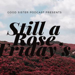 Still A Rose Friday🌹