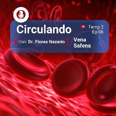 Vena Safena Vena Safena