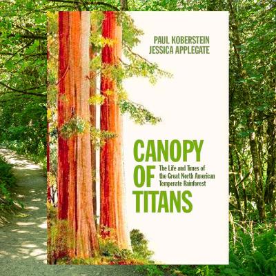 Episode 93 - Canopy of Titans ft. Paul Koberstein