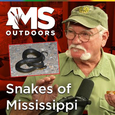 Snakes of Mississippi with Terry Vandeventer
