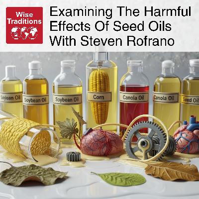 561: Examining The Harmful Effects Of Seed Oils With Steven Rofrano