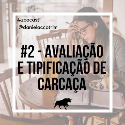 #2 - O que é avaliação e tipificação de carcaça?
