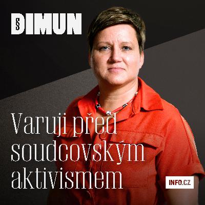 Nechci, abychom byli další odvolací instancí, říká ústavní soudkyně Dita Řepková